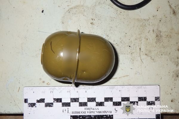На Николаевщине тиран избил жену и грозился взорвать дочь гранатой: суд отправил его ...под домашний арест