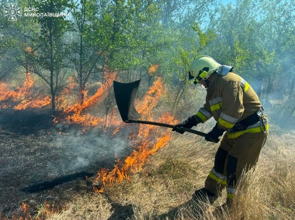 В Николаевской области зафиксирован антирекорд летних пожаров
