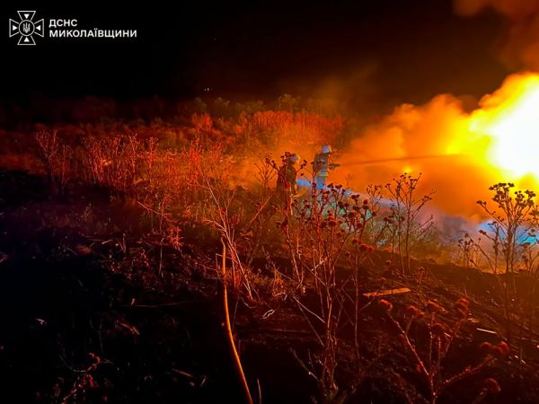 В Николаевской области за сутки огонь выжег 52 гектара земли