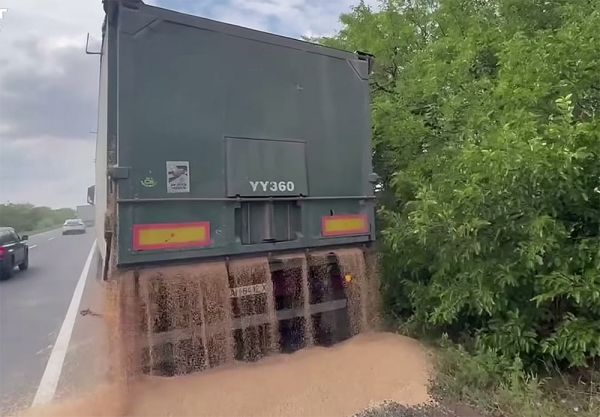 На Николаевщине водитель перегруженной фуры высыпал зерно прямо на трассу, чтобы не платить штраф (видео)