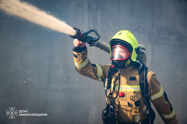 В Николаевской области спасатели тушили шесть пожаров в экосистемах