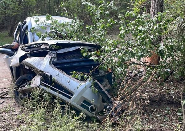 Под Новой Одессой Chevrolet врезался в дерево: 28-летняя автоледи и ее пассажир в больнице