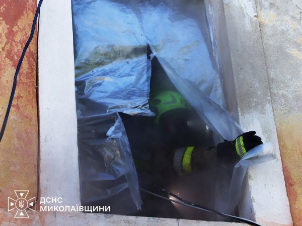 В Николаевской области огонь уничтожил 5,5 гектара сухостоя