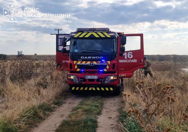 На Николаевщине пожарные погасили горящий автомобиль и три электросчетчика