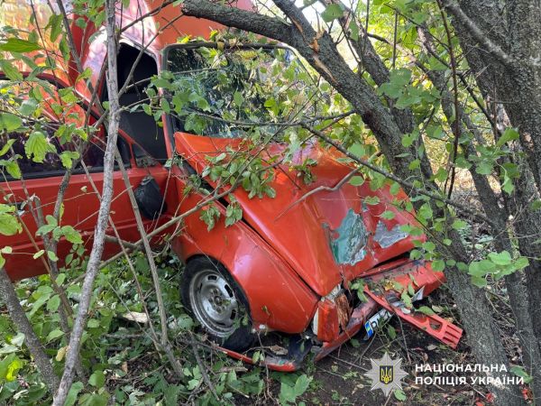 На Николаевщине спасателям пришлось пилить дерево и резать кузов, чтобы достать из разбитого авто двух женщин