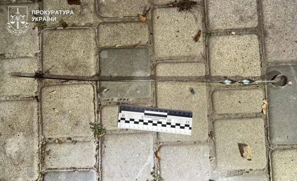 В Николаеве женщина заколола знакомого шампуром: дело начали по статье «умышленное убийство»