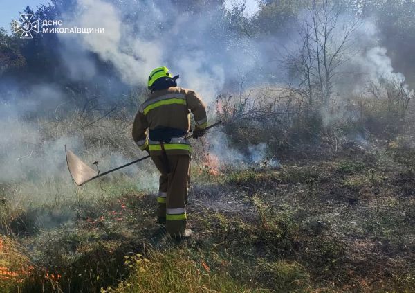 В Николаевской области ликвидировали пять пожаров