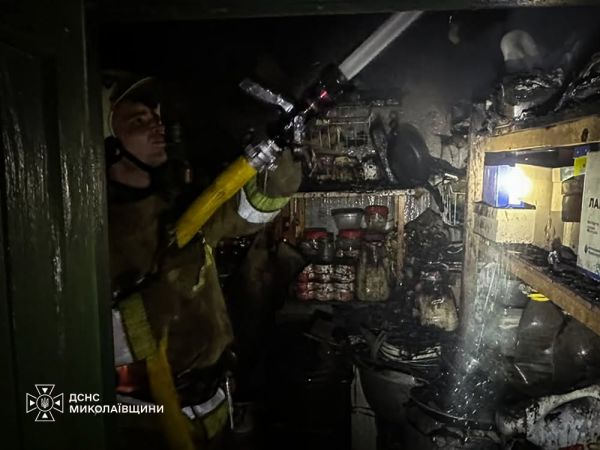 В Николаевской области тушили пожар в частном секторе и возгорание сухостоя