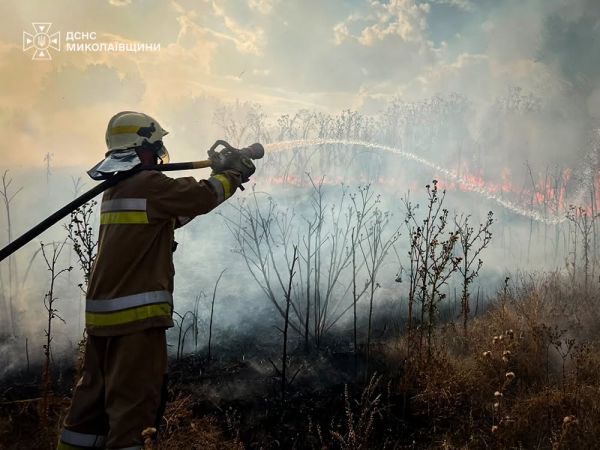 На Николаевщине из-за вражеских обстрелов горел сухостой на площади 2 гектара