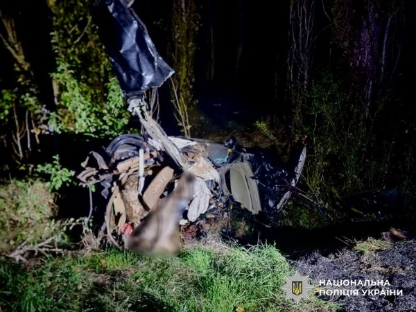 В Николаевской области легковой автомобиль влетел в дерево, погибли водитель и пассажир