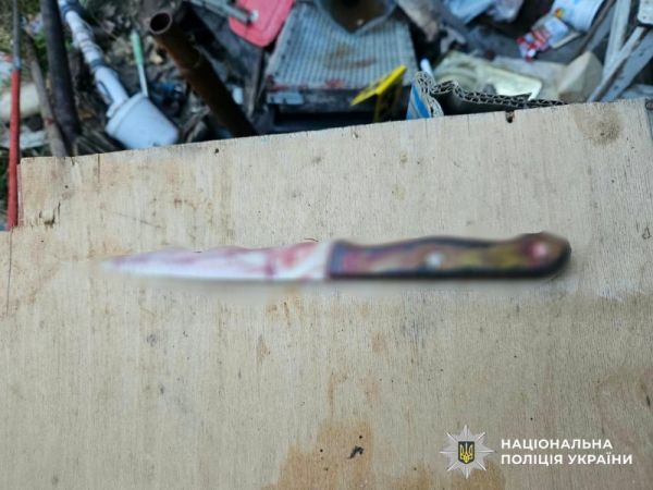 Полиция Николаева задержала подозреваемого в умышленном убийстве во время застолья